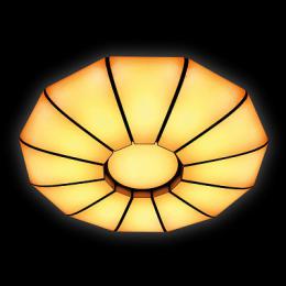 Потолочный светодиодный светильник Ambrella light Orbital Parrus  - 6